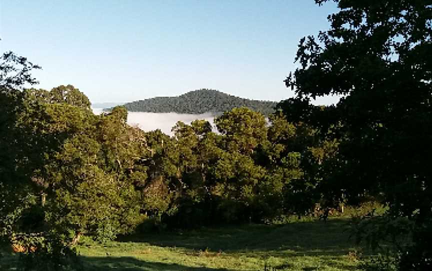 Junuy Juluum National Park, Dorrigo, NSW