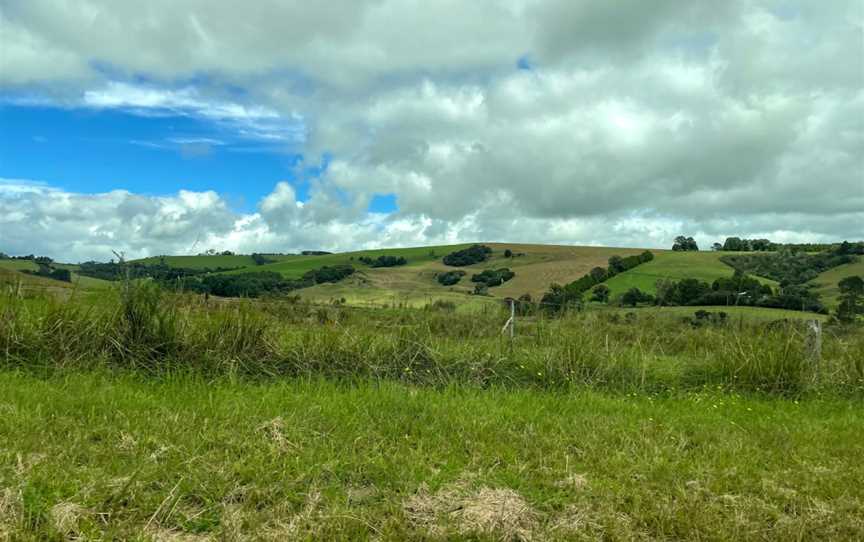 Junuy Juluum National Park, Dorrigo, NSW