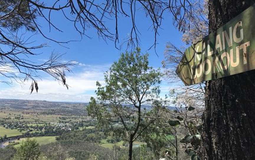 Mount Arthur Reserve Trails, Wellington, NSW