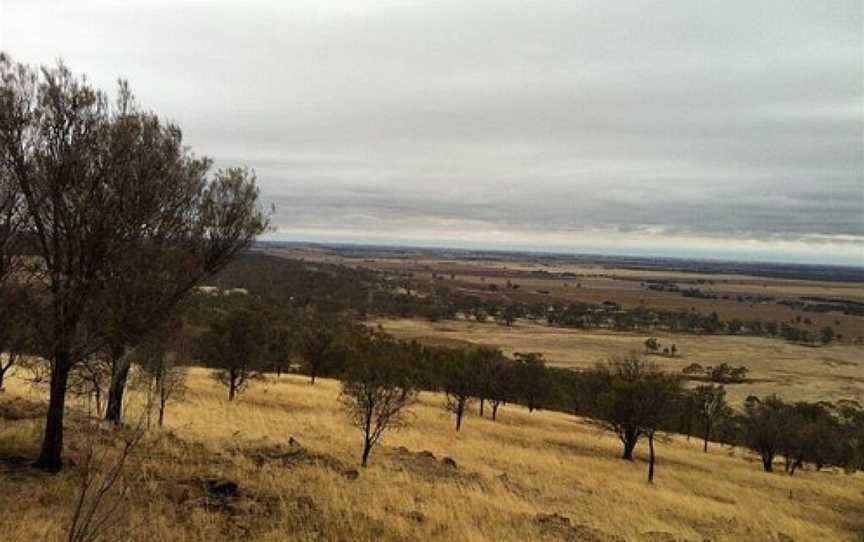 Mount Jeffcott Flora and Fauna Reserve, Donald, VIC