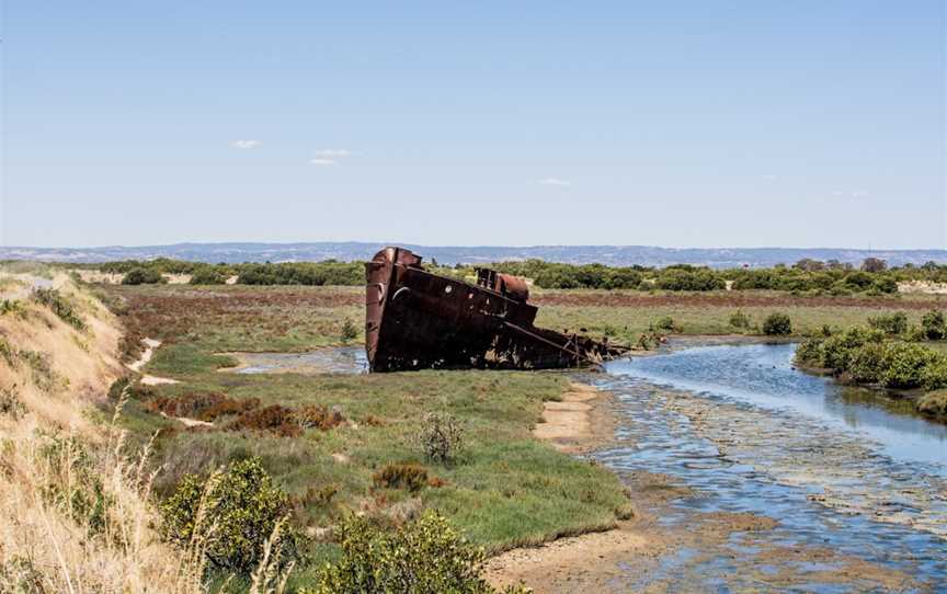 Mutton Cove Conservation Reserve, Port Adelaide, SA