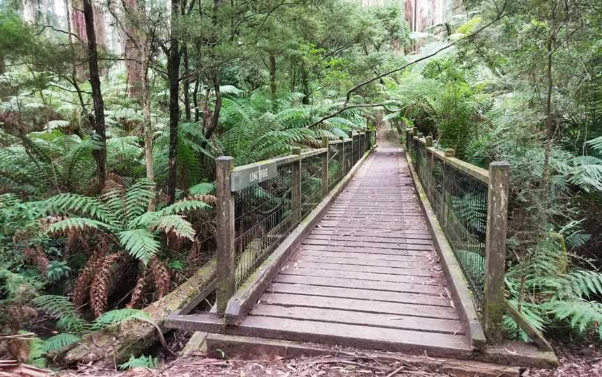 O'Donohue Picnic Ground, Sherbrooke, VIC