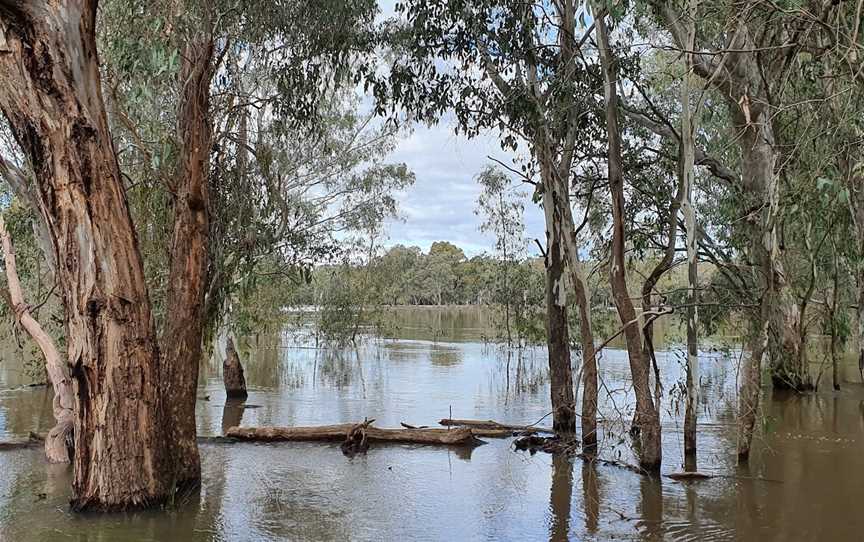 Reedy Creek, Eldorado, VIC