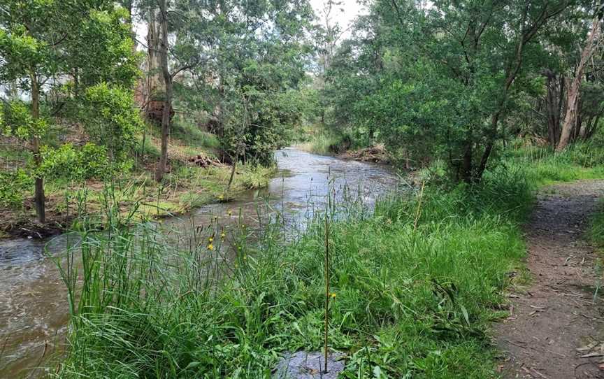 Robin Hood Reserve, Drouin, VIC