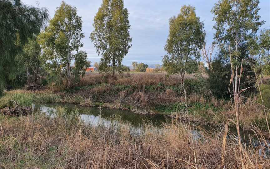 Rose Lee Park, Quirindi, NSW