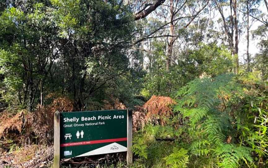 Shelly Beach - Apollo Bay, Apollo Bay, VIC