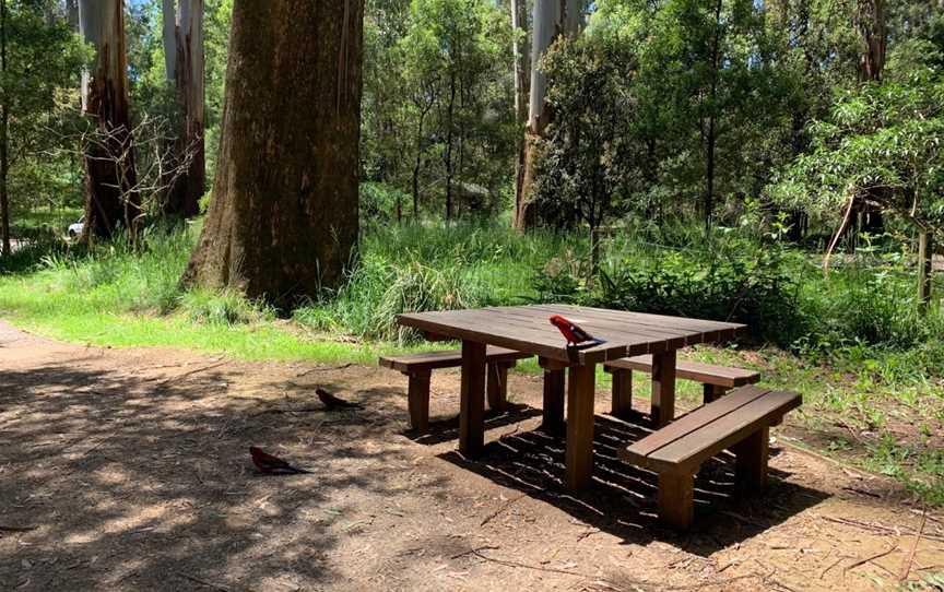 Sherbrooke Picnic Ground, Sherbrooke, VIC