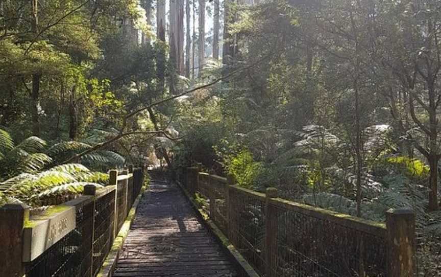 Sherbrooke Picnic Ground, Sherbrooke, VIC