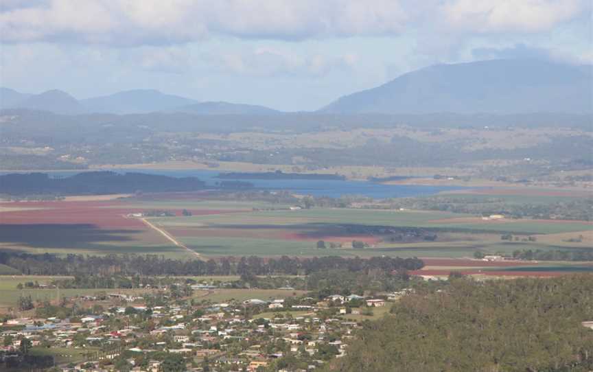 Wongabel State Forest, Atherton, QLD