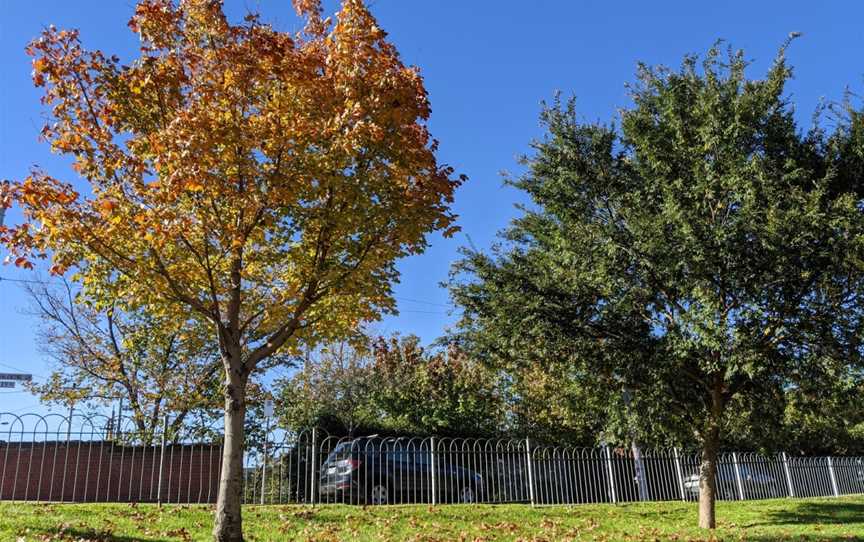 Bailey Avenue Park, Armadale, VIC