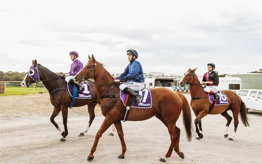 Belmont Park, Mont Albert, VIC