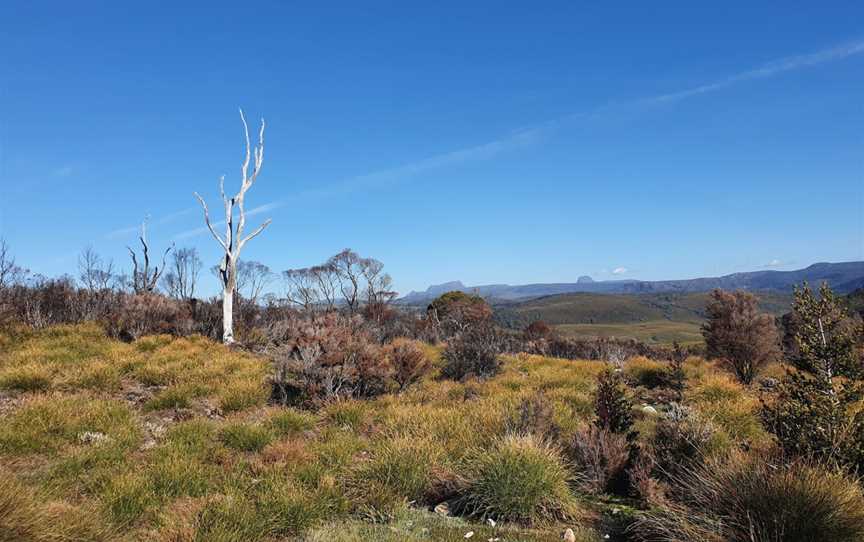 Black Bluff Nature Recreation Area, Middlesex, TAS