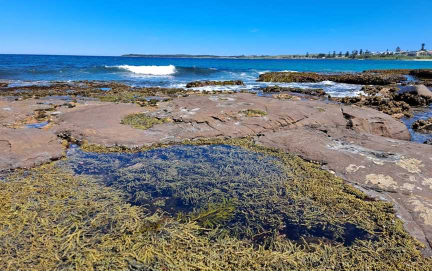 Blacks Beach, Shellharbour, NSW