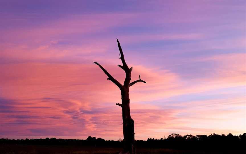 Bong Bong Common, Burradoo, NSW