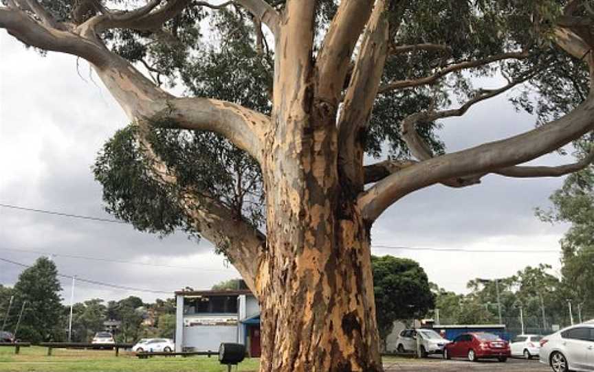 Challenger St Reserve, Diamond Creek, VIC