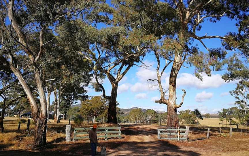 Clunes Bushland Reserve, Clunes, VIC