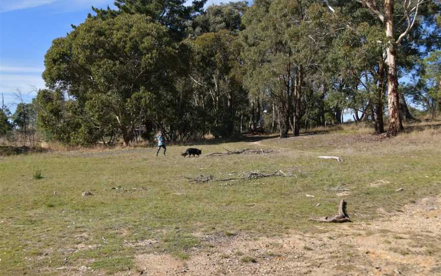 Cosgrove Reservoir, Creswick, VIC