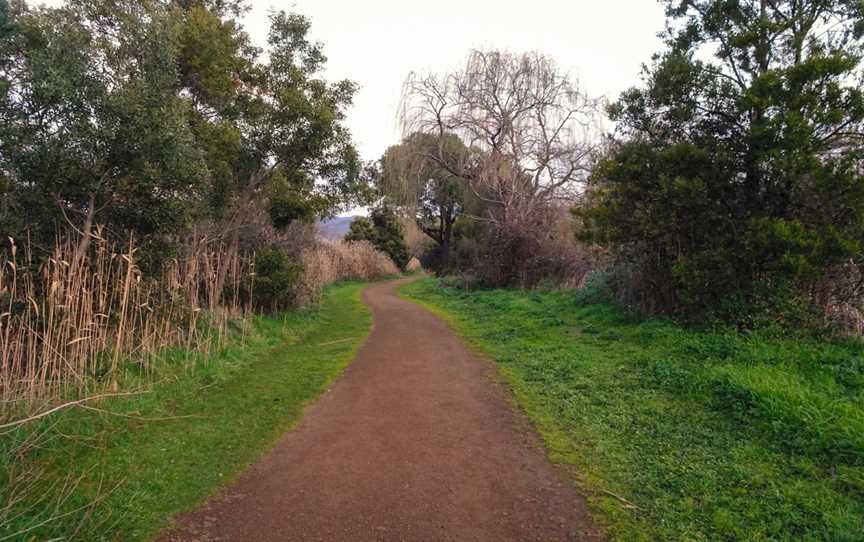 Derwent Cliffs Walk, New Norfolk, TAS