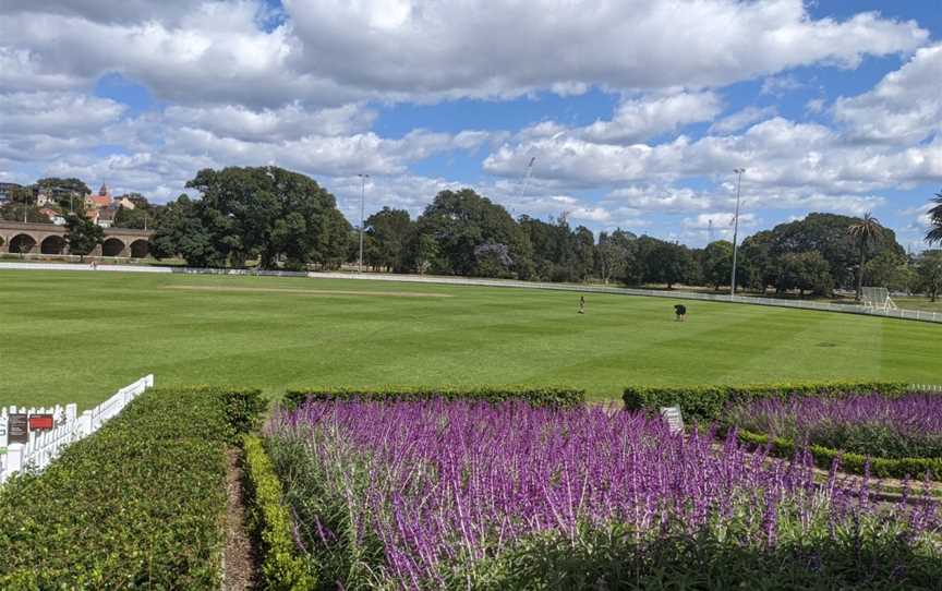 Federal Park, Annandale, NSW