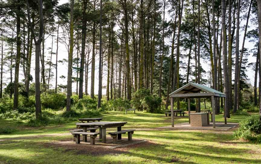 Fingal Picnic Area, Cape Schanck, VIC