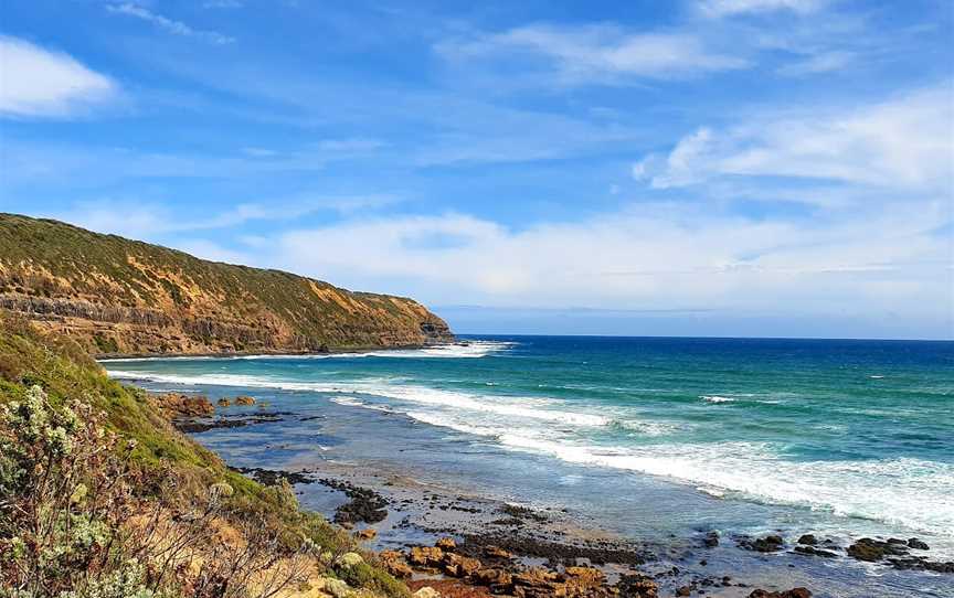 Fingal Picnic Area, Cape Schanck, VIC