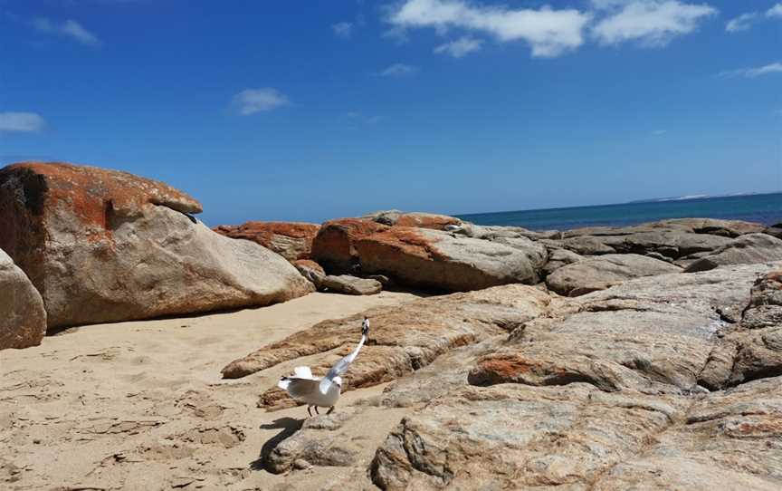 Gym Beach, Marion Bay, SA