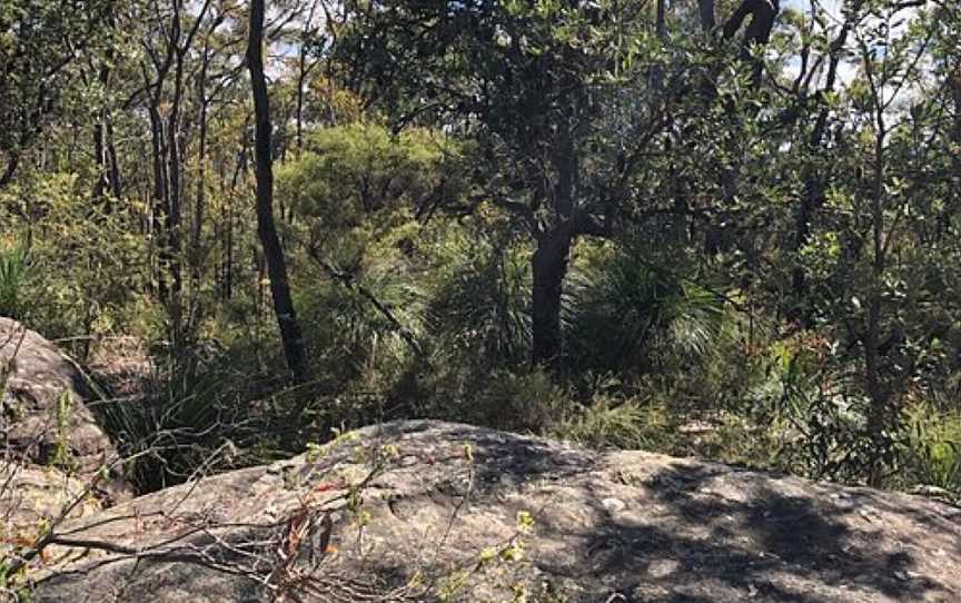 Hillcrest Avenue Fire Trail, Faulconbridge, NSW