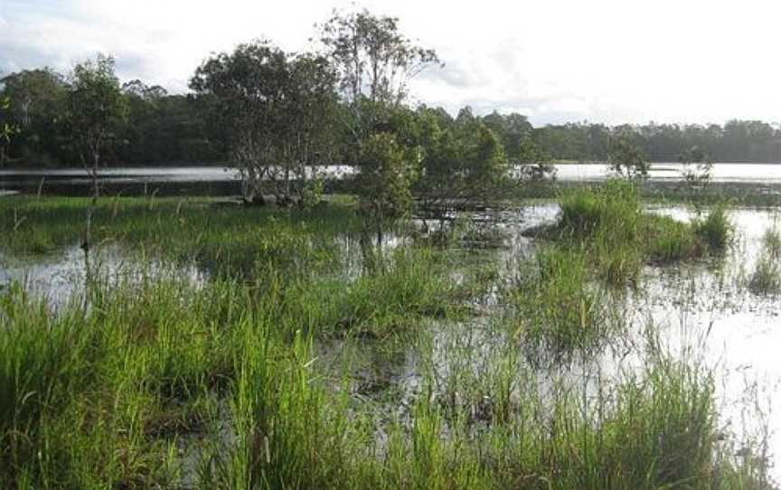 Jabiru Park Bird Sanctuary, Cooroy, QLD