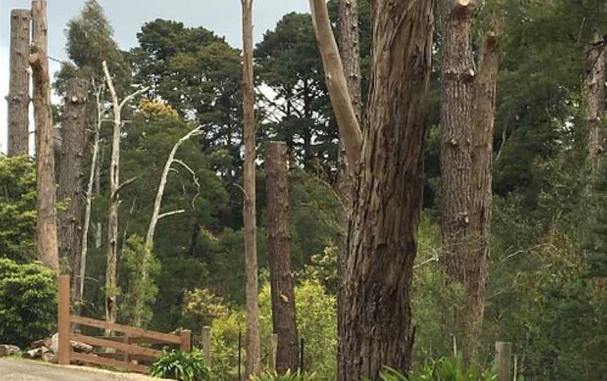 Jessie Traill Nature Reserve, Narre Warren, VIC