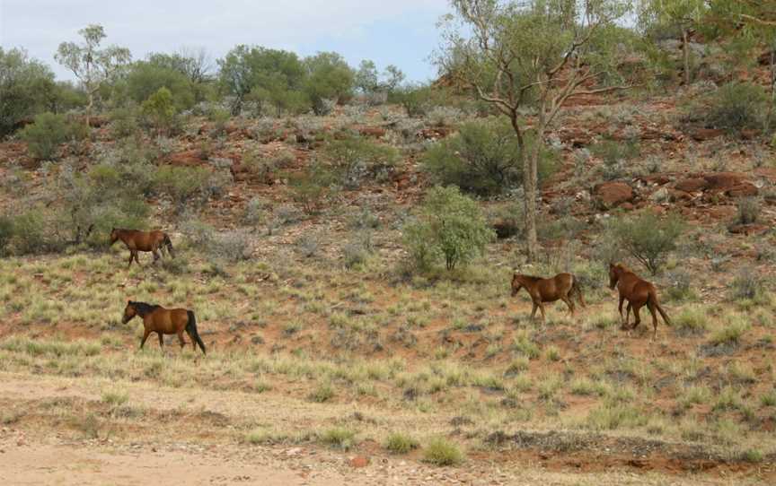 Kalarranga Lookout, Finke, NT