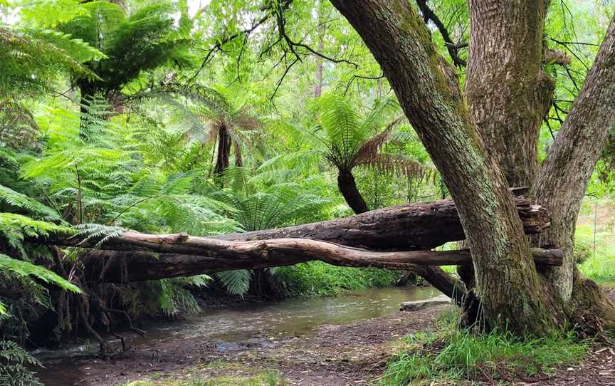 Kays Picnic Ground, Monbulk, VIC