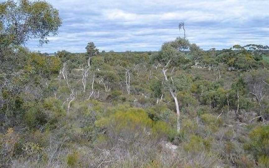 Kelvin Powrie Conservation Reserve, Keith, SA