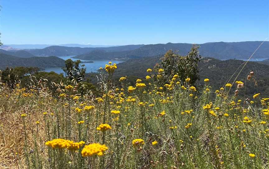 Kennedys Point, Bonnie Doon, VIC