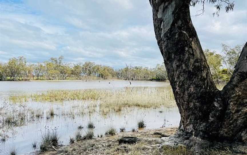 LAANECOORIE ANKERS CAUSEWAY PICNIC AREA, Laanecoorie, VIC