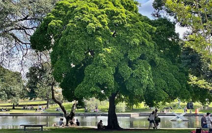 Lake Kippax, Moore Park, NSW