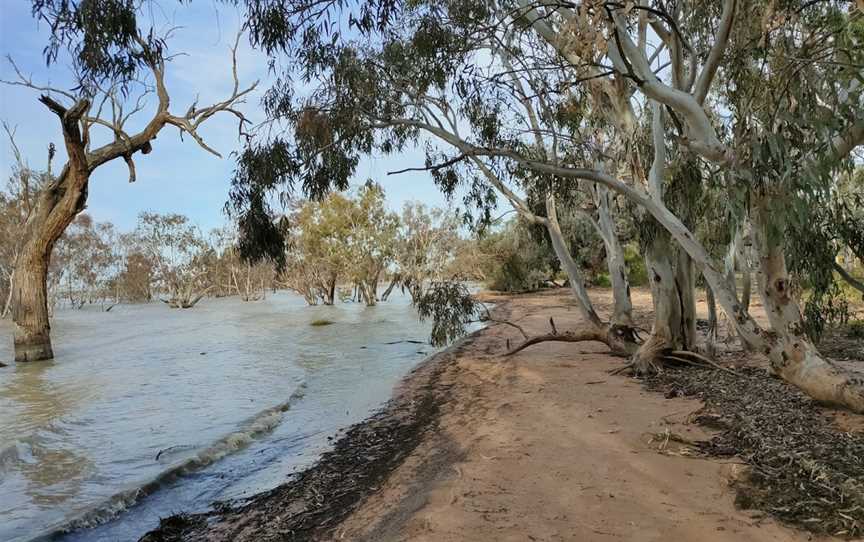 Lake Pamamaroo, Menindee, NSW