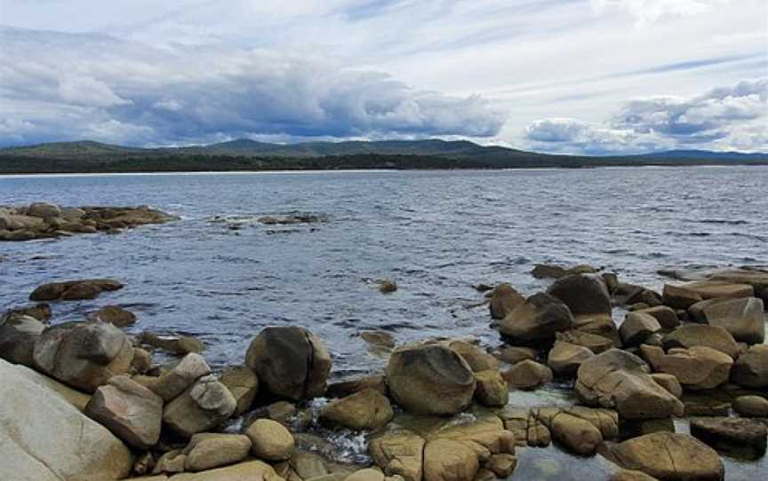 Lone Tree, Binalong Bay, TAS