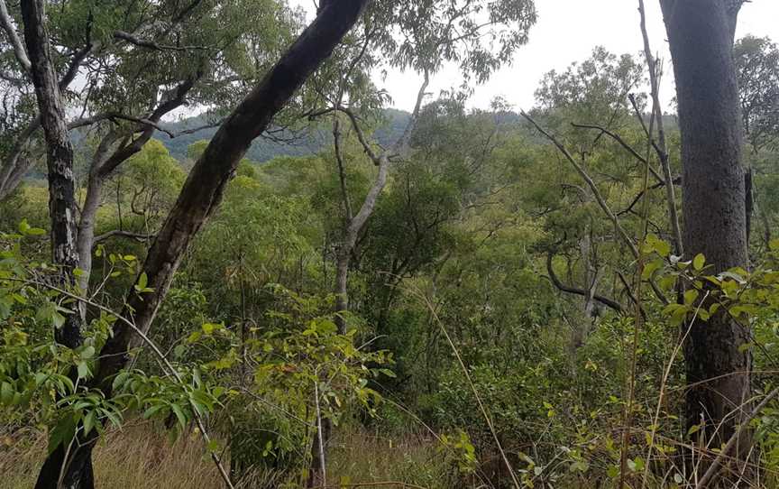 Macalister Range National Park, Ellis Beach, QLD