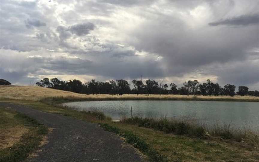 Minyip Wetlands, Minyip, VIC