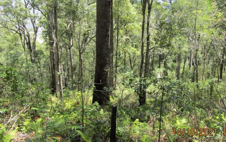 Mount Perry Summit Walk, Mount Perry, QLD