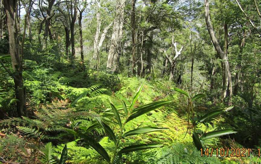 Mount Perry Summit Walk, Mount Perry, QLD