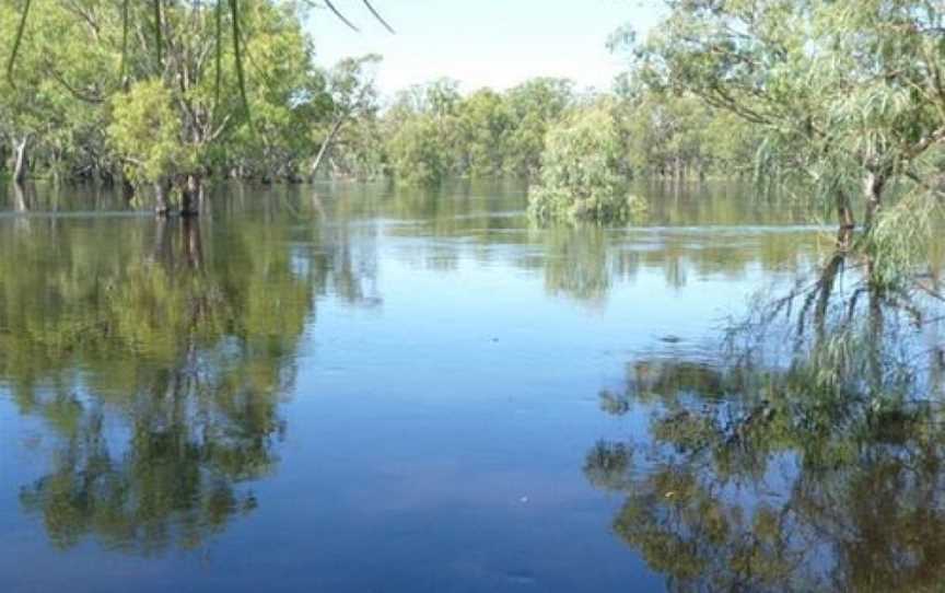 Murrumbidgee Junction, Balranald, NSW