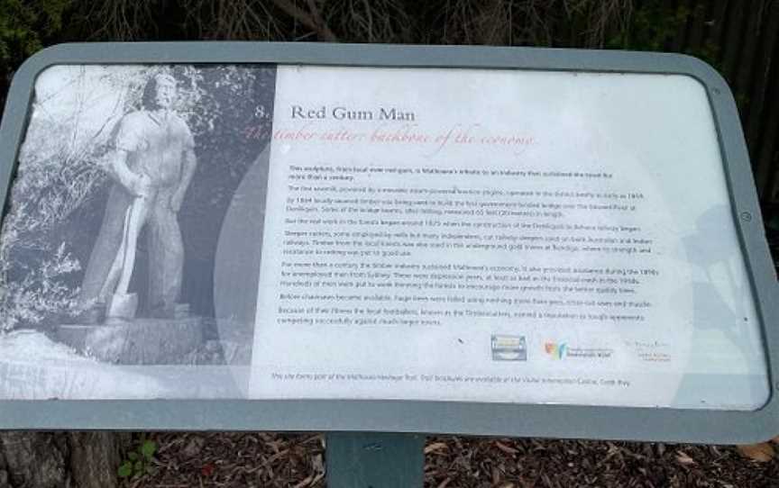 Red Gum Man, Mathoura, NSW