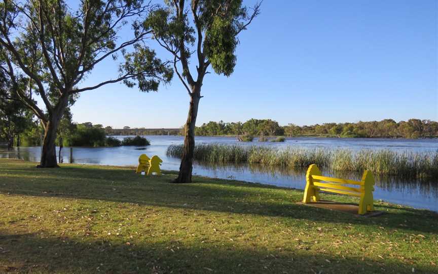 Swanport Reserve, Murray Bridge, SA