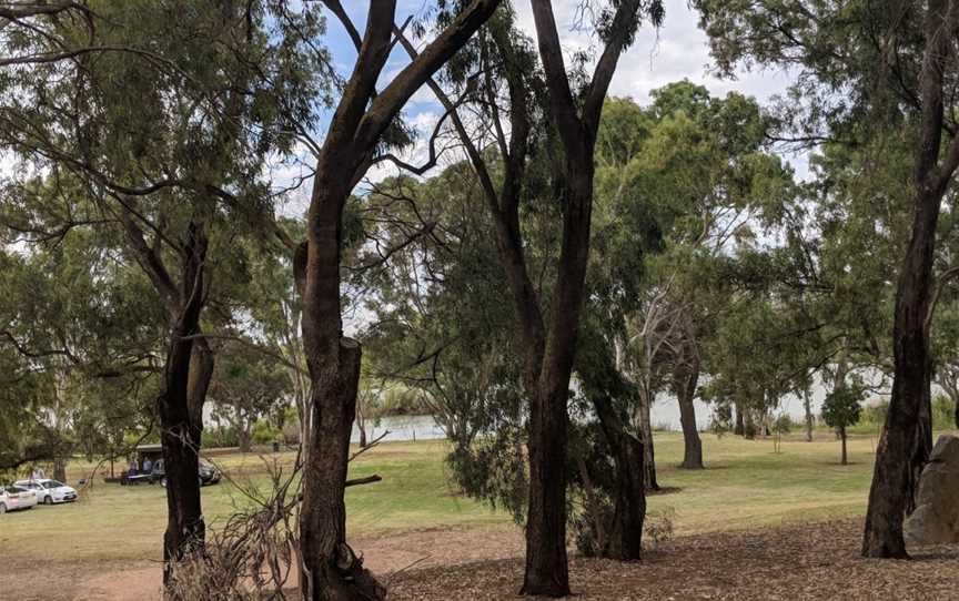 Swanport Reserve, Murray Bridge, SA