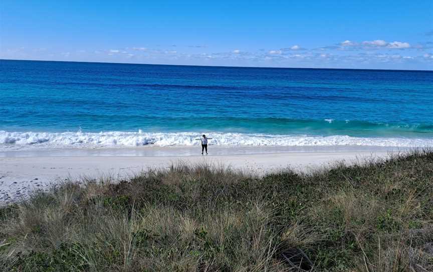 Taylors Beach, The Gardens, TAS