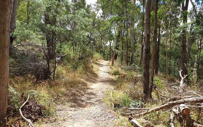 Tipperary Springs, Daylesford, VIC