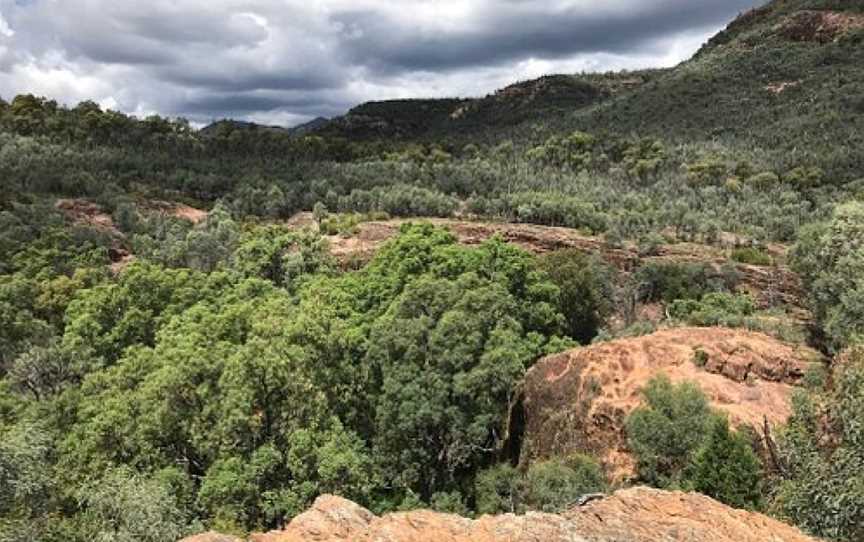 Wambelong Nature Track, Coonabarabran, NSW