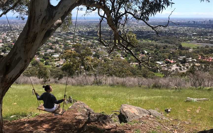 Waite Conservation Reserve, Urrbrae, SA