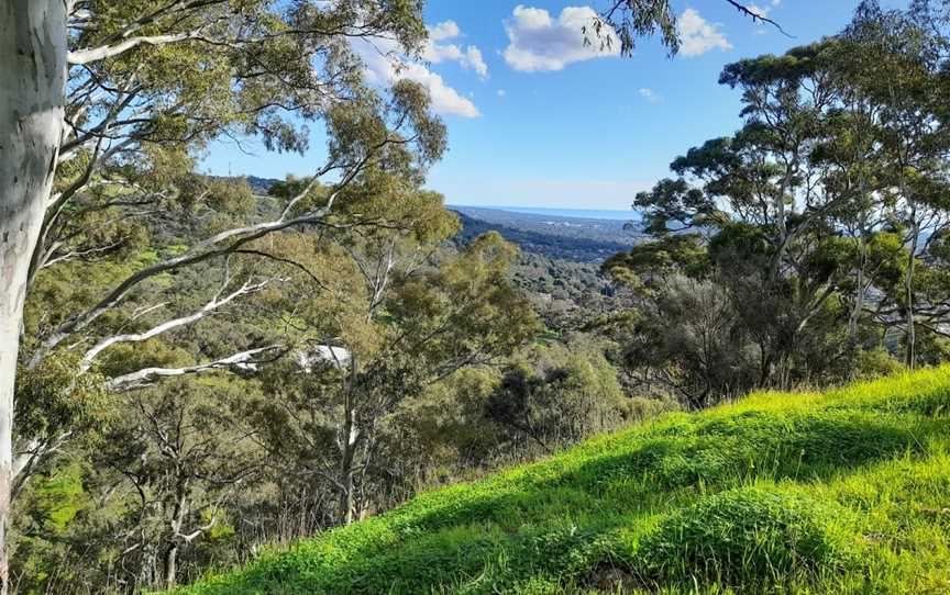 Waite Conservation Reserve, Urrbrae, SA